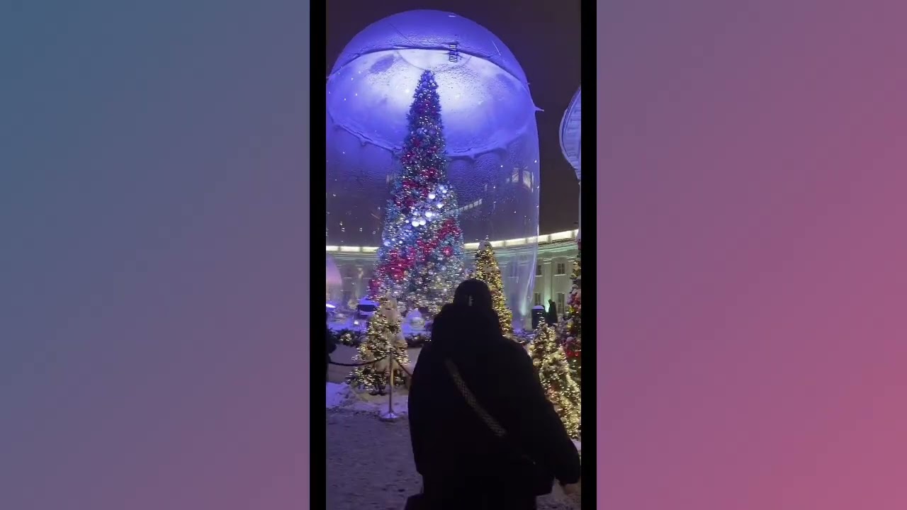 Magic Christmas ✨ TikTok Live Excerpt 7.01.2026 | Daria loves Russia