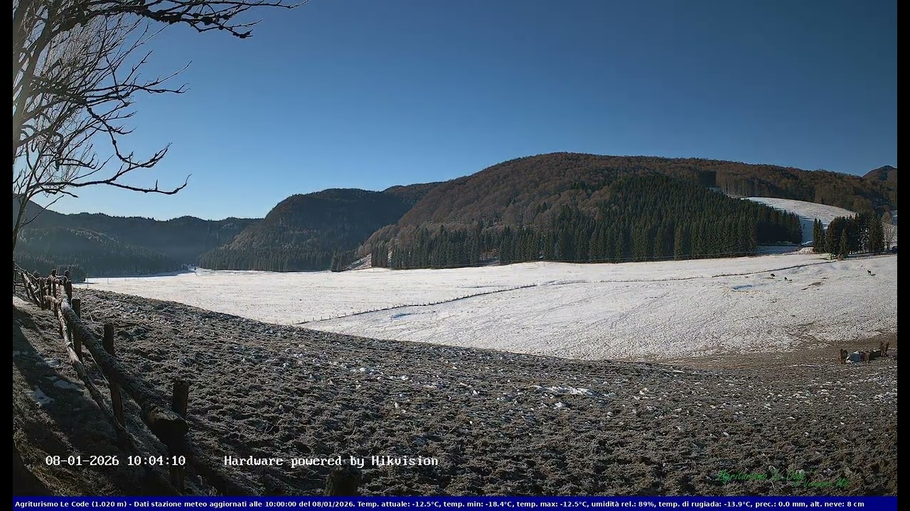2026-01-08 Webcam Cansiglio - verso la piana dei 