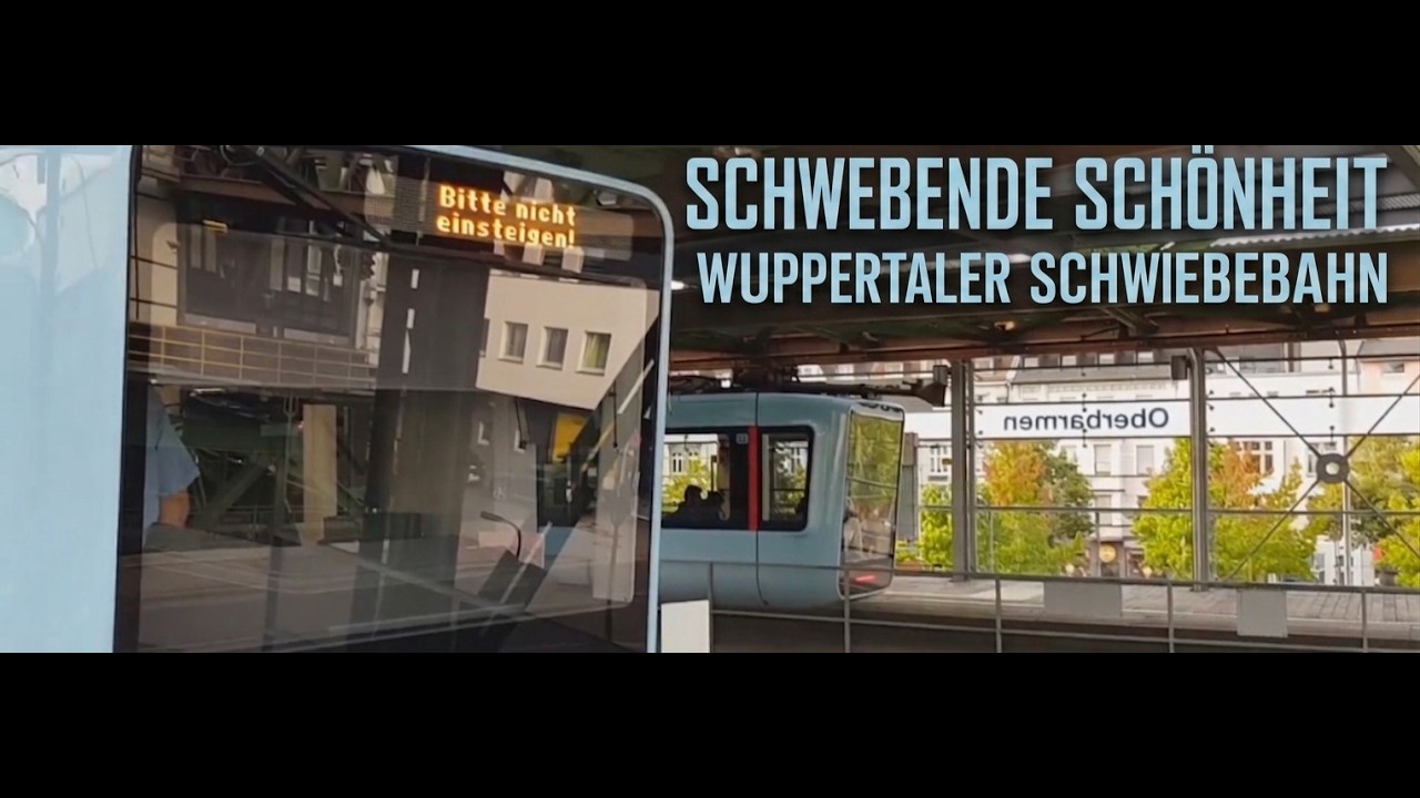 YORK INTERNATIONAL 21 - Schwebende Schönheit
