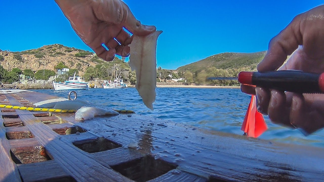 CATCH and COOΚ - Spearos Ceviche -Ψαροντούφεκο -Το σεβίτσε του ψαροντουφεκά