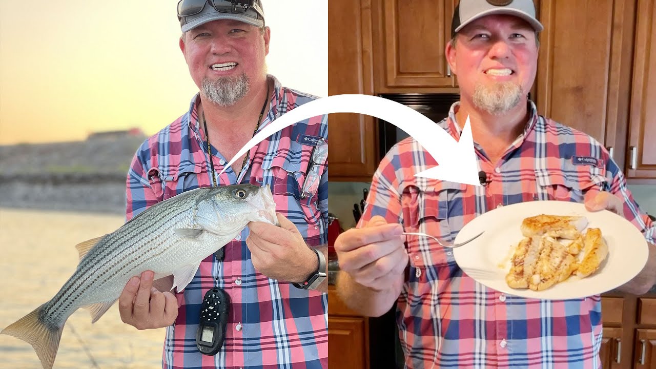 Catch Clean & Cook Striped Bass