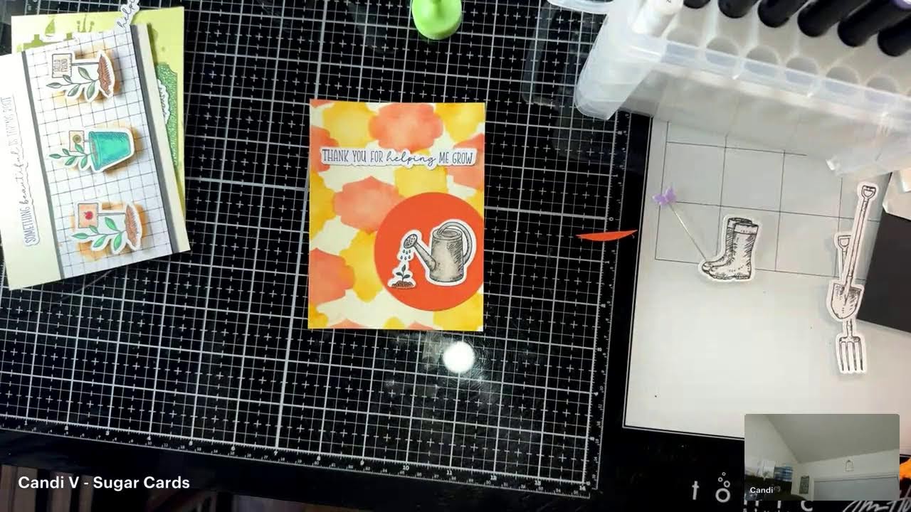 Friday Night with Candi (Rooted for You Inspiration Box)