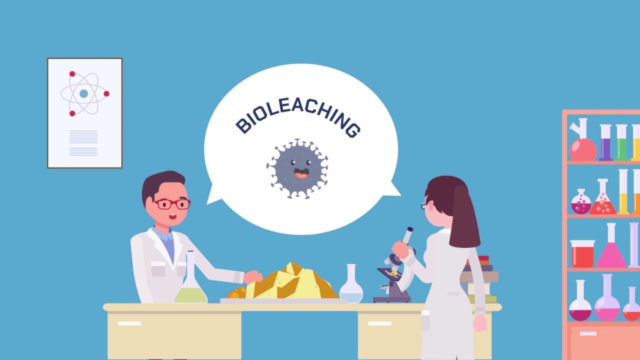 Bioleaching: let's see how it works
