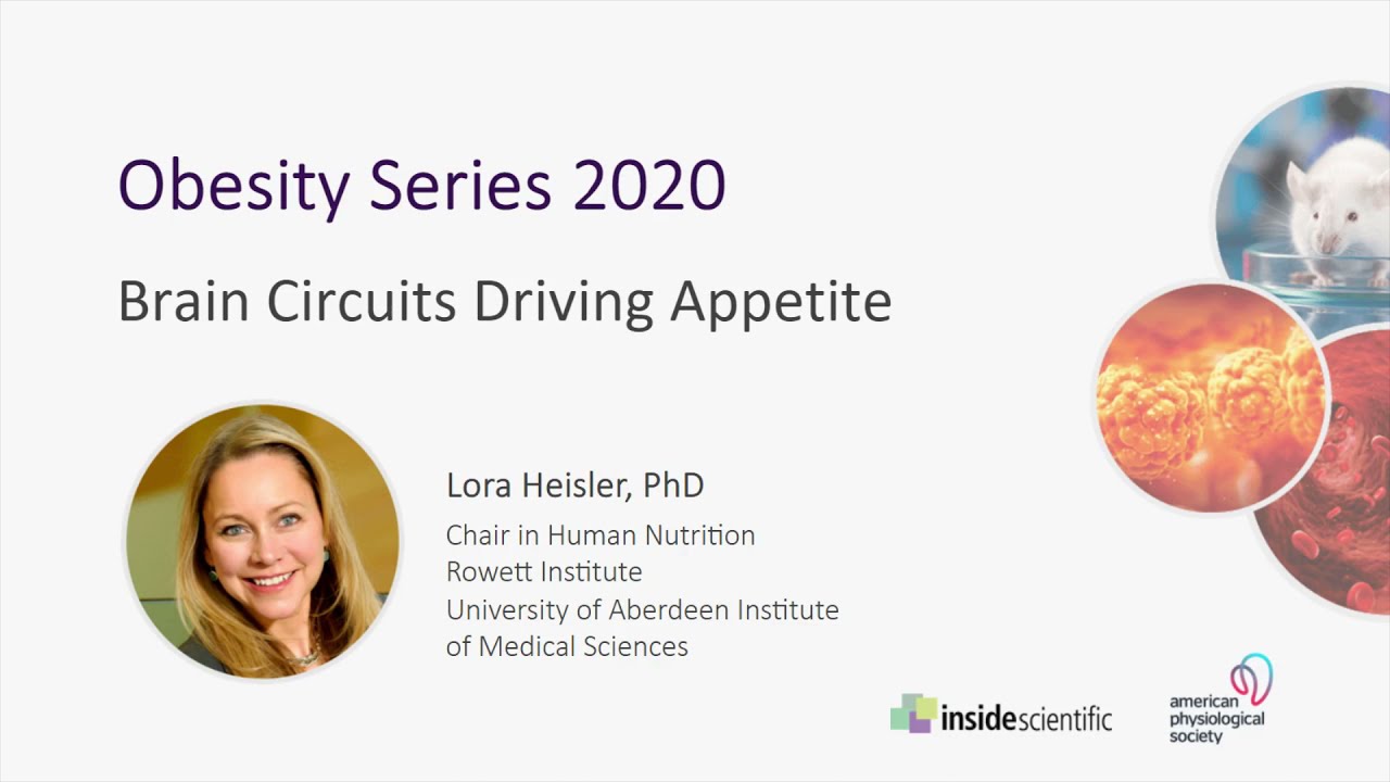 Brain Circuits Driving Appetite