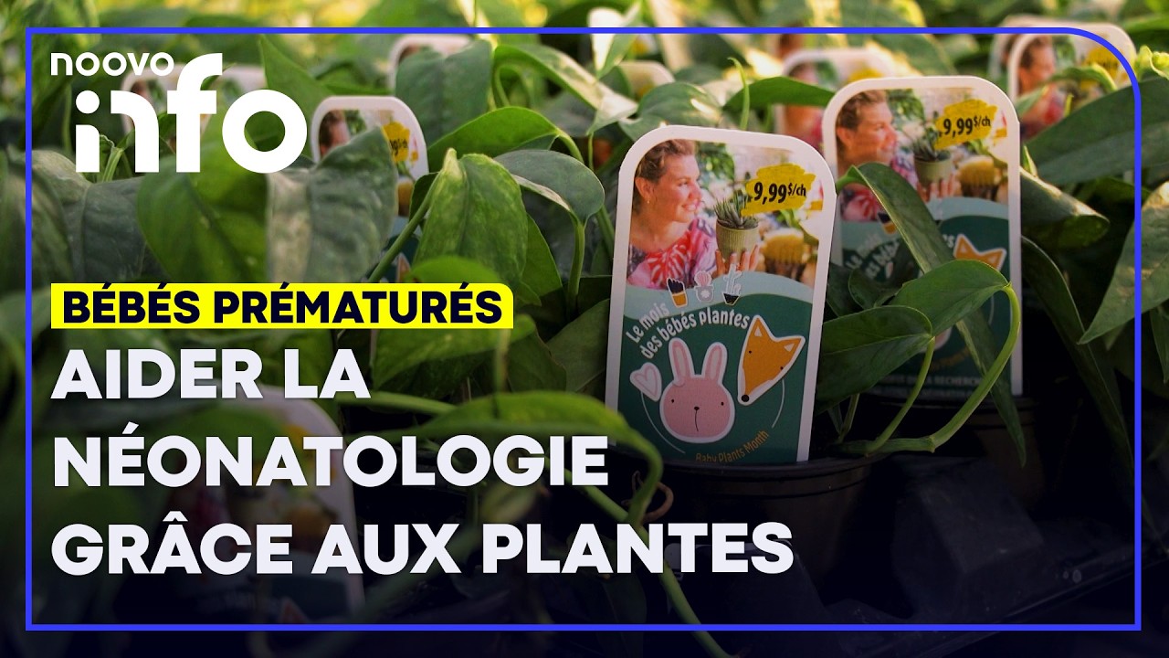 Mois des bébés plantes: près de 6000 familles accueillent un bébé né prématurément chaque année
