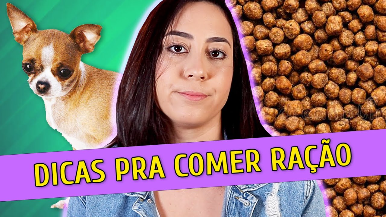 CACHORRO NÃO QUER COMER RAÇÃO PURA