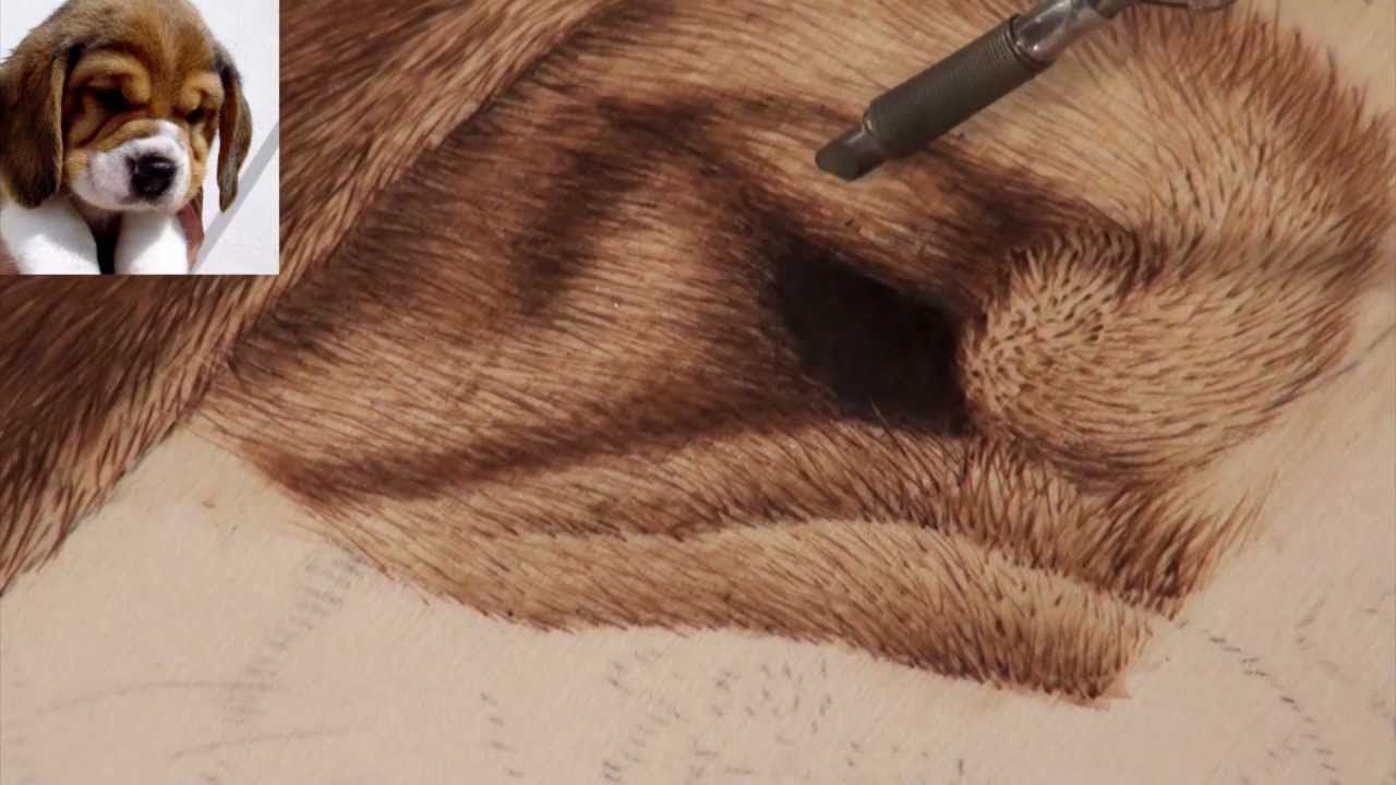 Pirograbado de cachorro 2 de 2