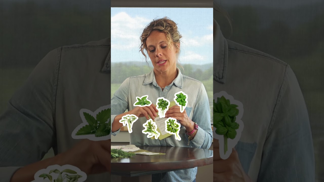 Heavens Harvest | Artisan Herb Seed Kit #heirloomseeds