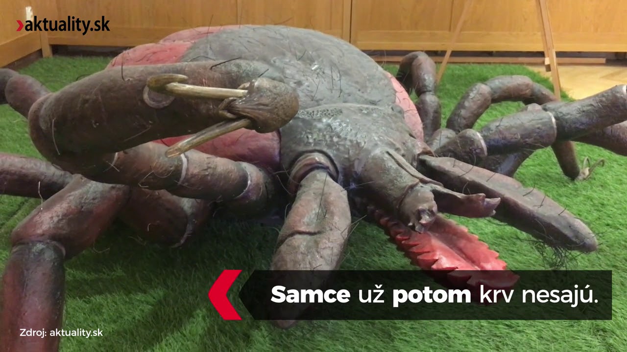 Aká je slabina obávaného votrelca - kliešťa?