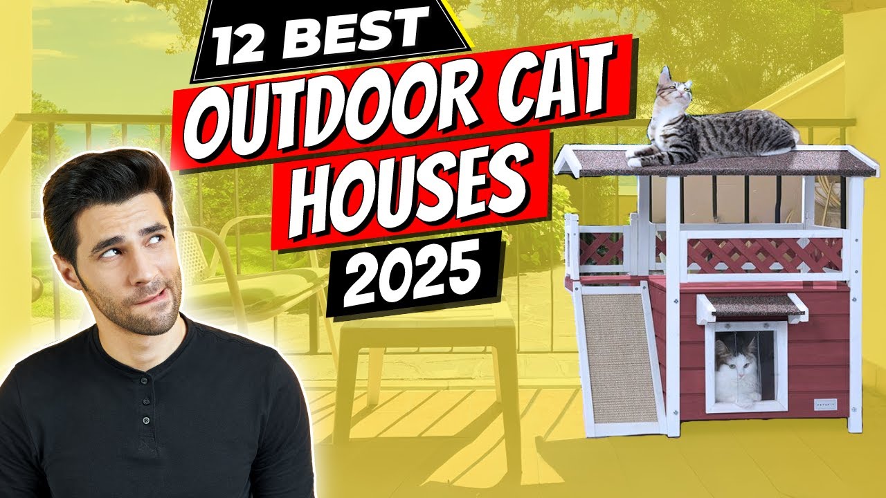 Best Outdoor Cat Houses of 2025 | Top 12 Outdoor Cat Houses of 2025 You Won't Believe Are Affordable
