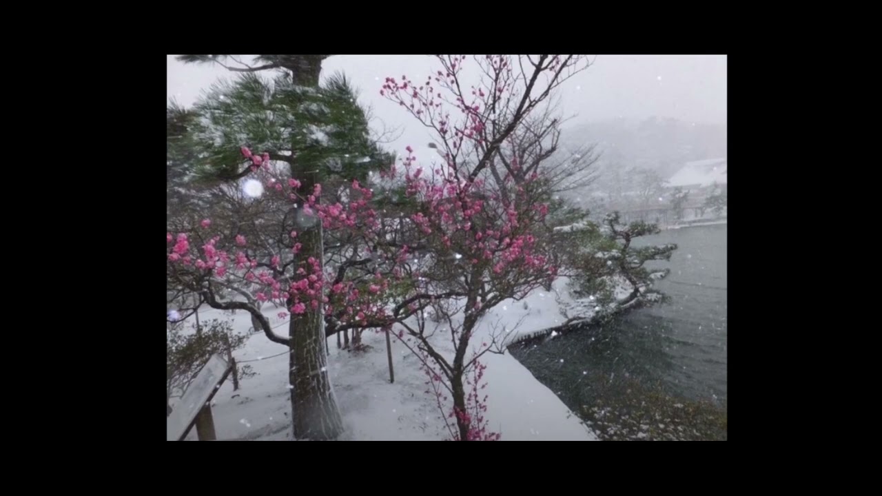 [FREE] Jonny 5 x Gola Gianni Type Beat  