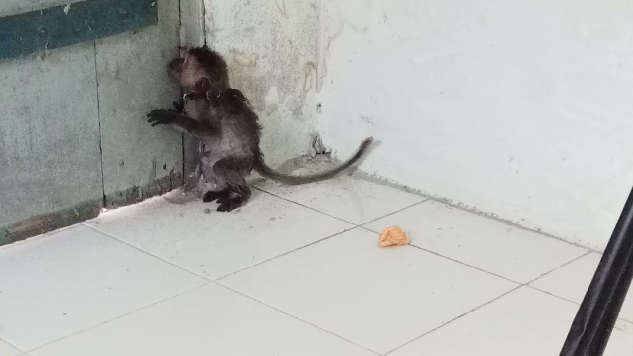 Lebih segar, siap mandi 