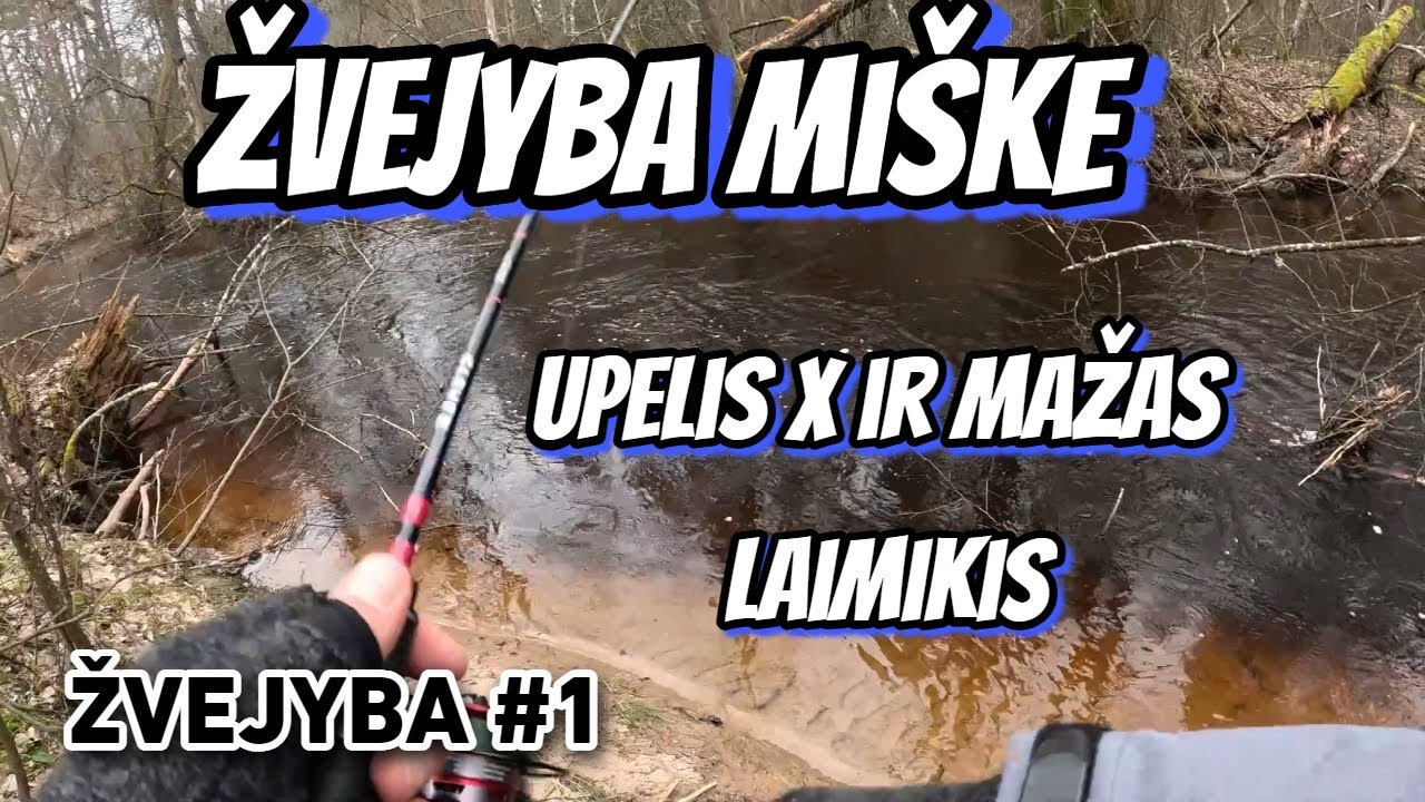 ŽVEJYBA MI&Scaron;KE IR MAŽAS LAIMIKIS | #1
