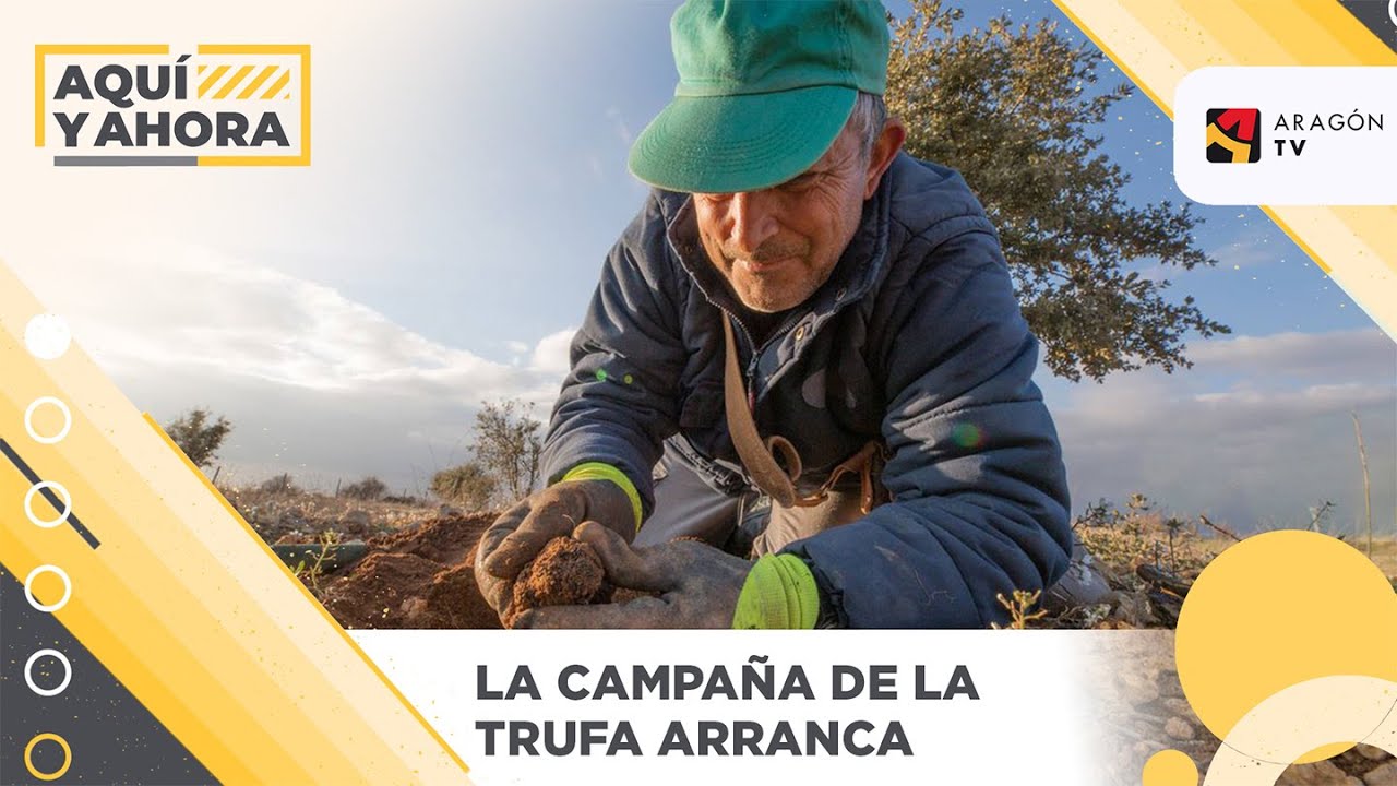 Arranca la campaña de la trufa en Teruel