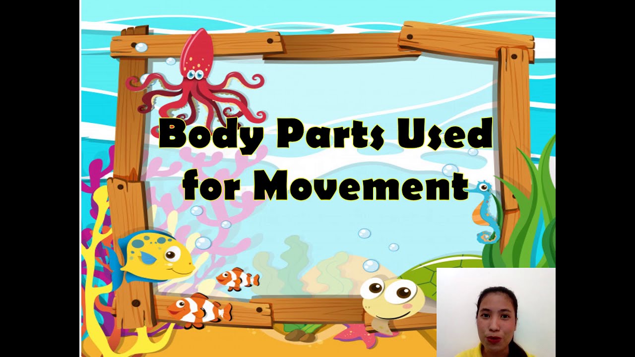 BODY PARTS OF ANIMALS USED FOR MOVEMENT