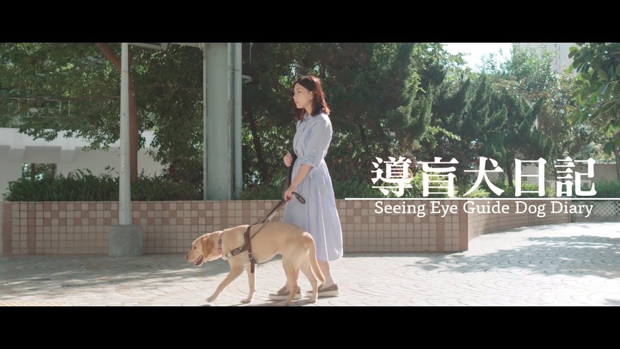 導盲犬日記  Seeing Eye Guide Dog Diary