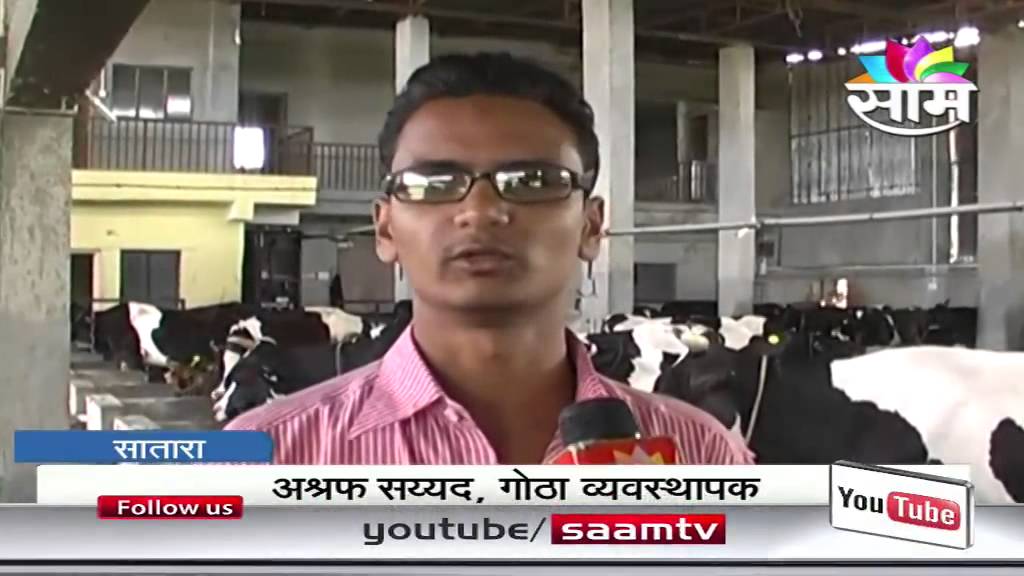 Anil Jadhav's milk business success story