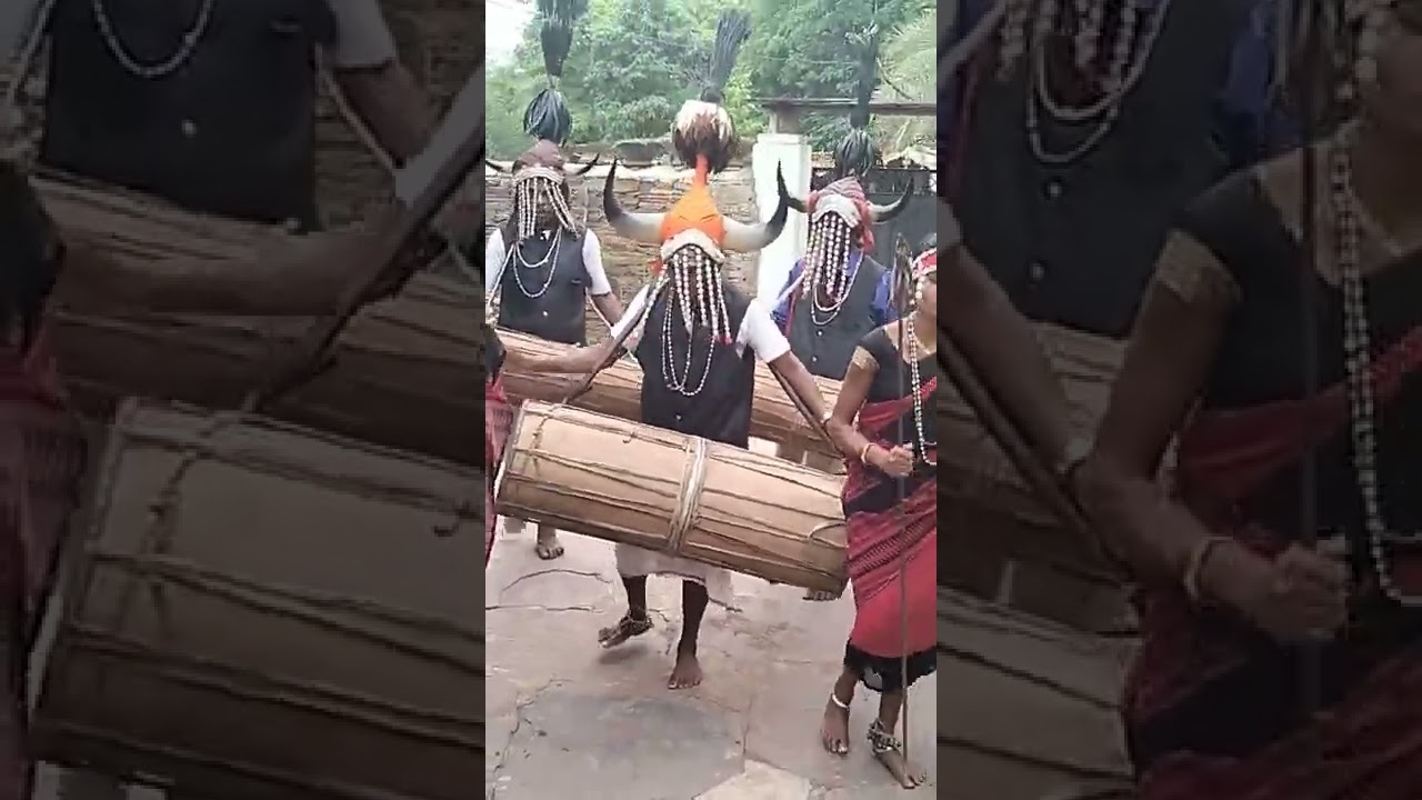 Bison horn tribal dance bastar #bastar #chhattisgarh #tribal #tribaldance #bison #tribalculture