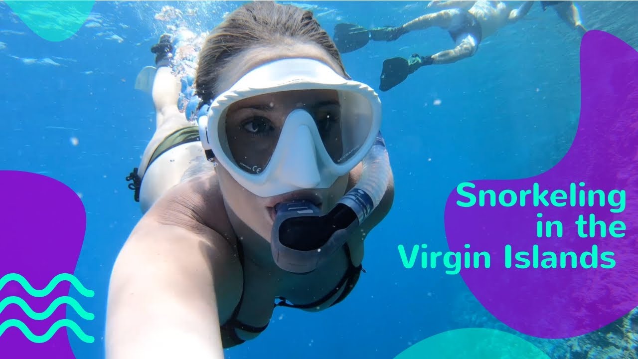 Snorkeling in the Virgin Islands - Lazy Gecko Sailing VLOG 146