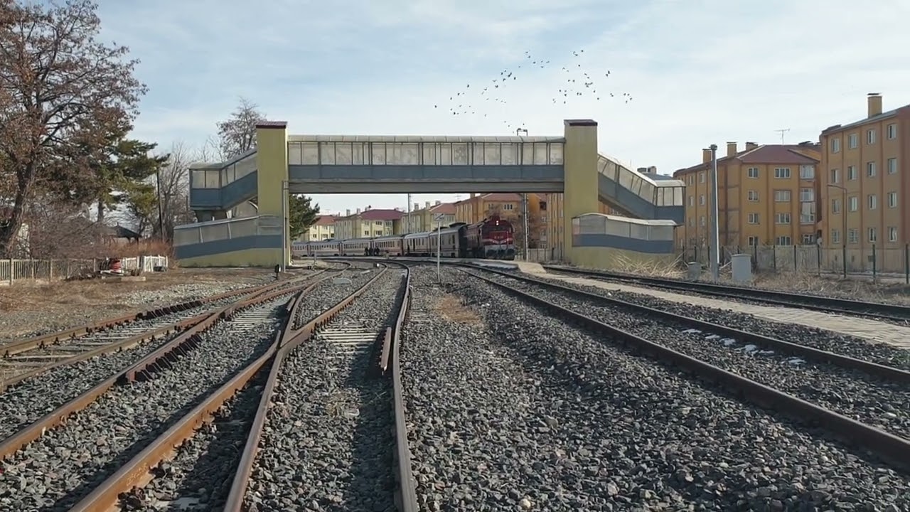 tcdd de 22035