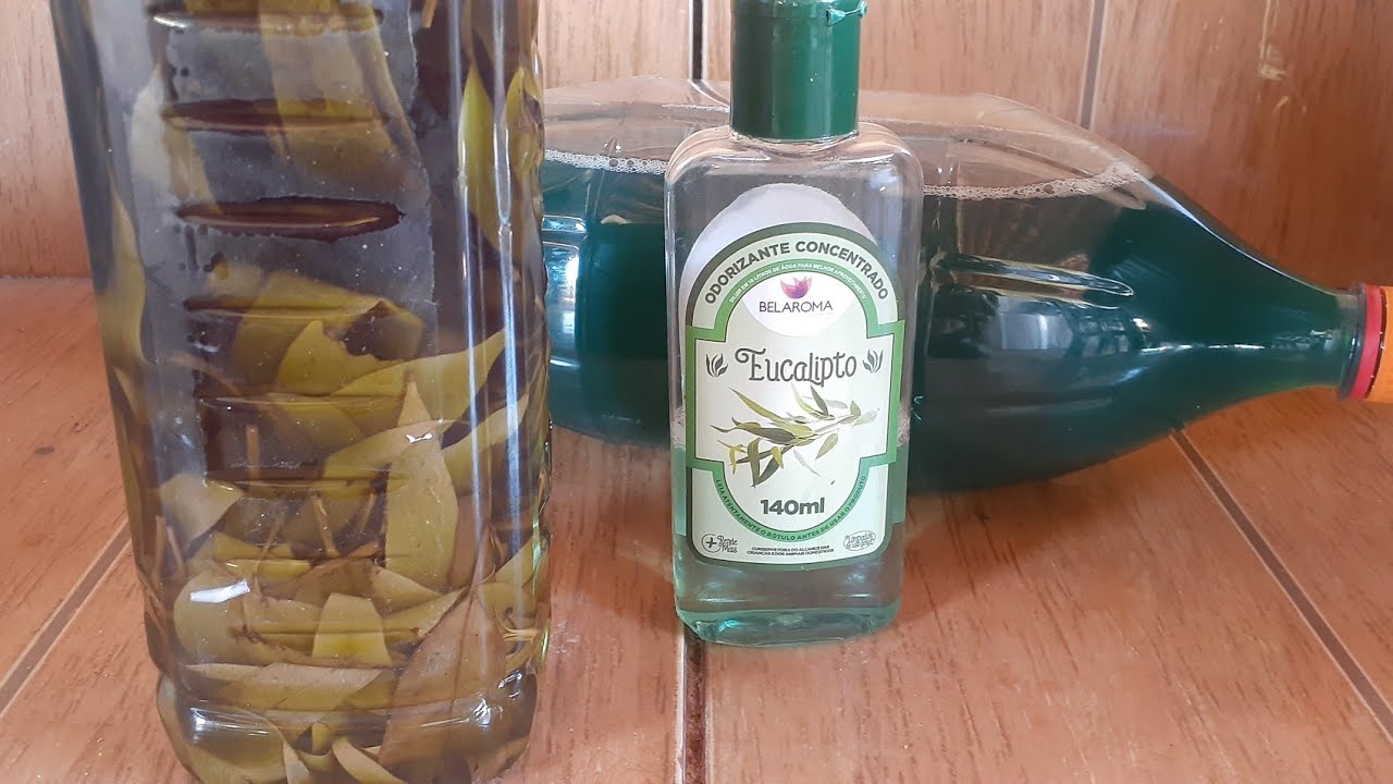 COMO FAZER ESSÊNCIA DE EUCALIPTO USANDO 3 INGREDIENTES SUPER FACIL E ECONÔMICA/ESSÊNCIA CASEIRA