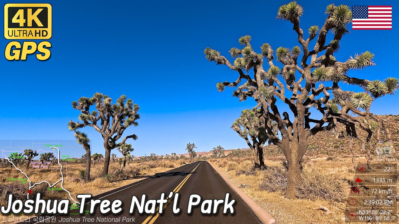 4K Joshua Tree National Park Scenic Drive, California, USA | 조슈아트리 국립공원 드라이브 여행(미국 캘리포니아)