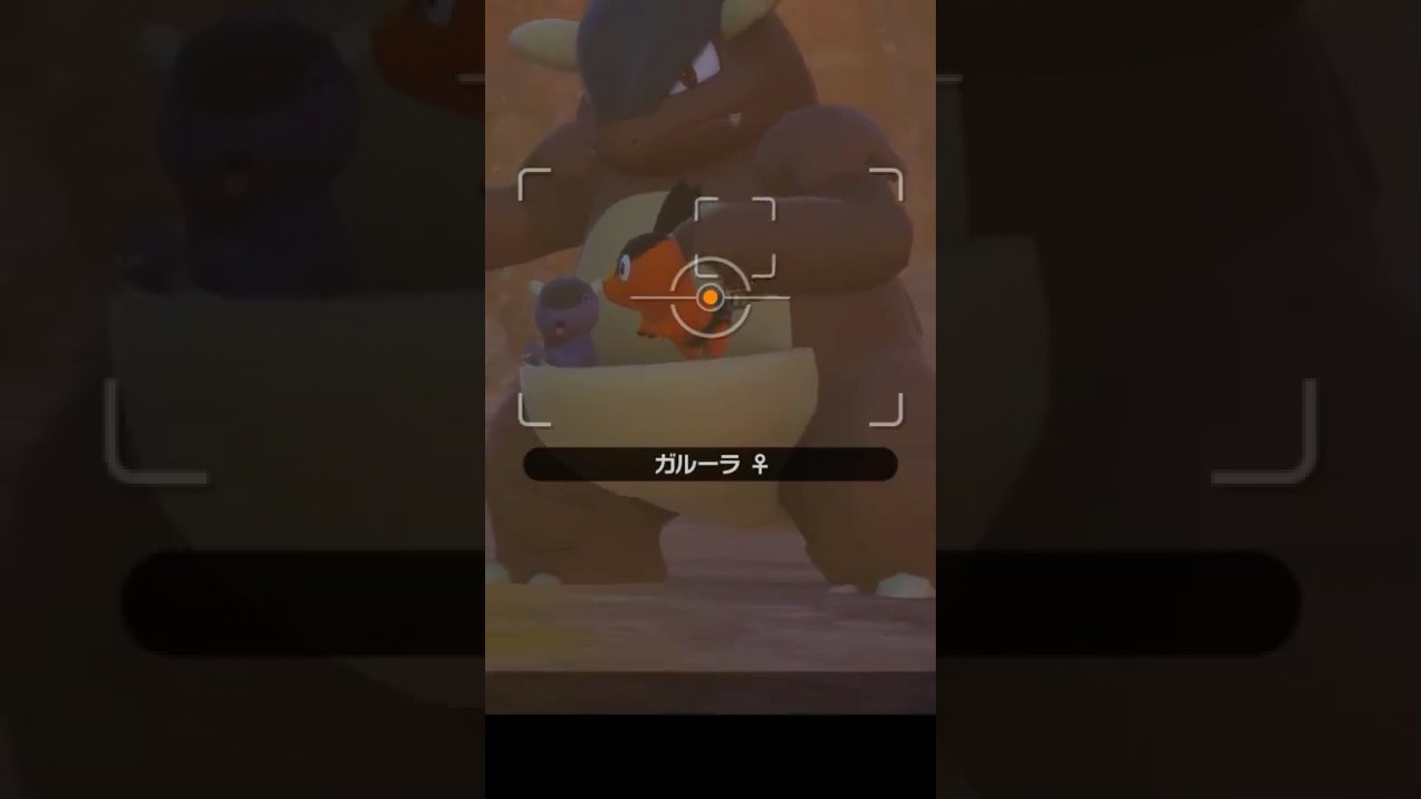 ガルーラとポカブ　#ポケモン #ポケモンスナップ #ポカブ　#ガルーラ