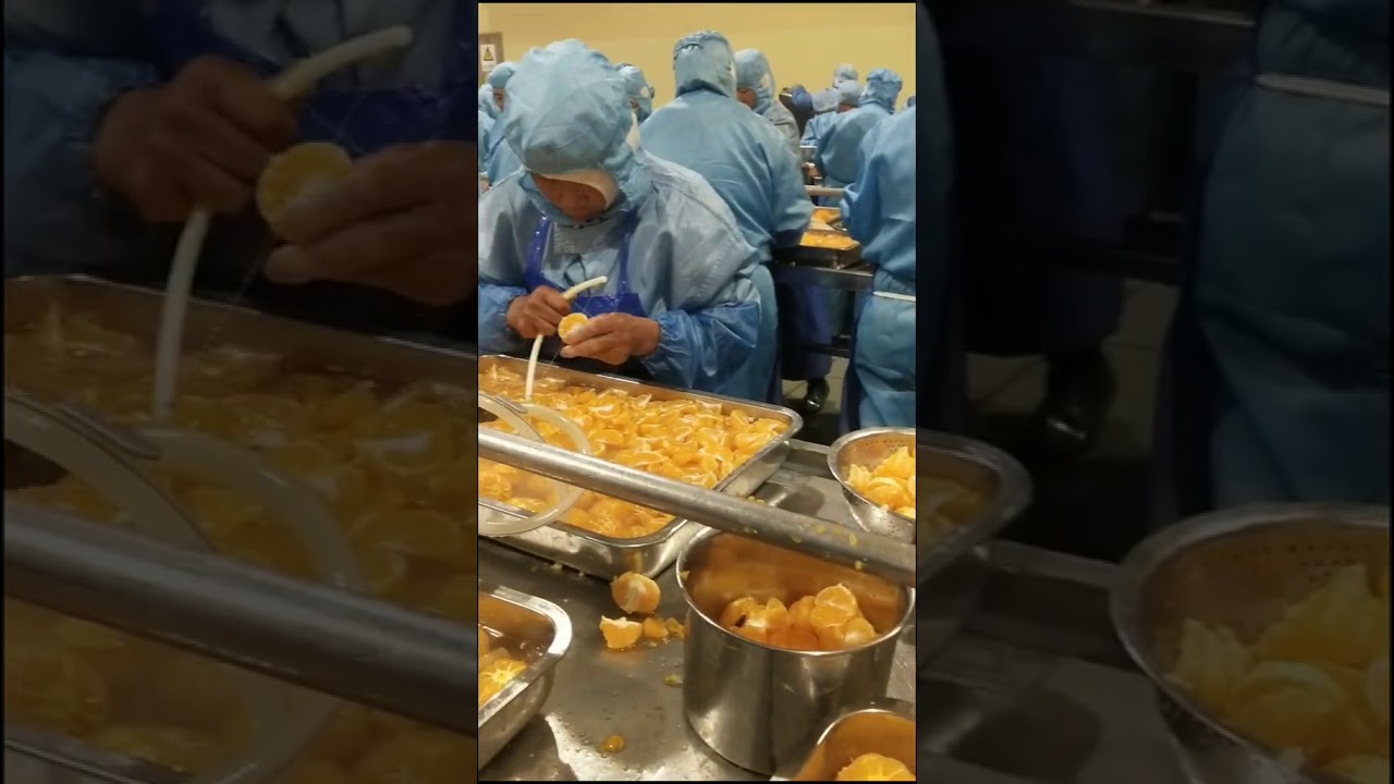 orange juice factory
