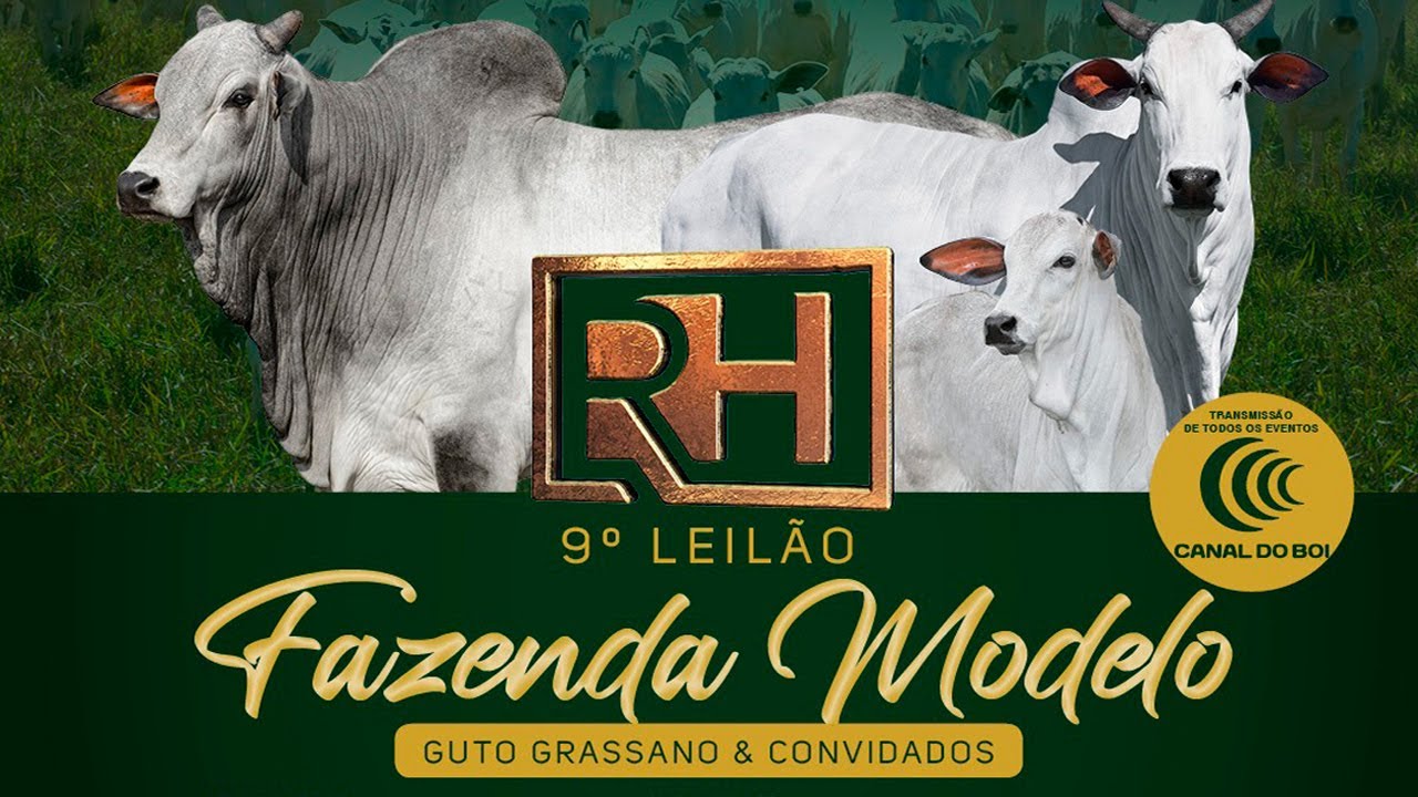 9&ordm; LEIL&Atilde;O FAZENDA MODELO - NOVILHAS E MATRIZES AVALIADAS
