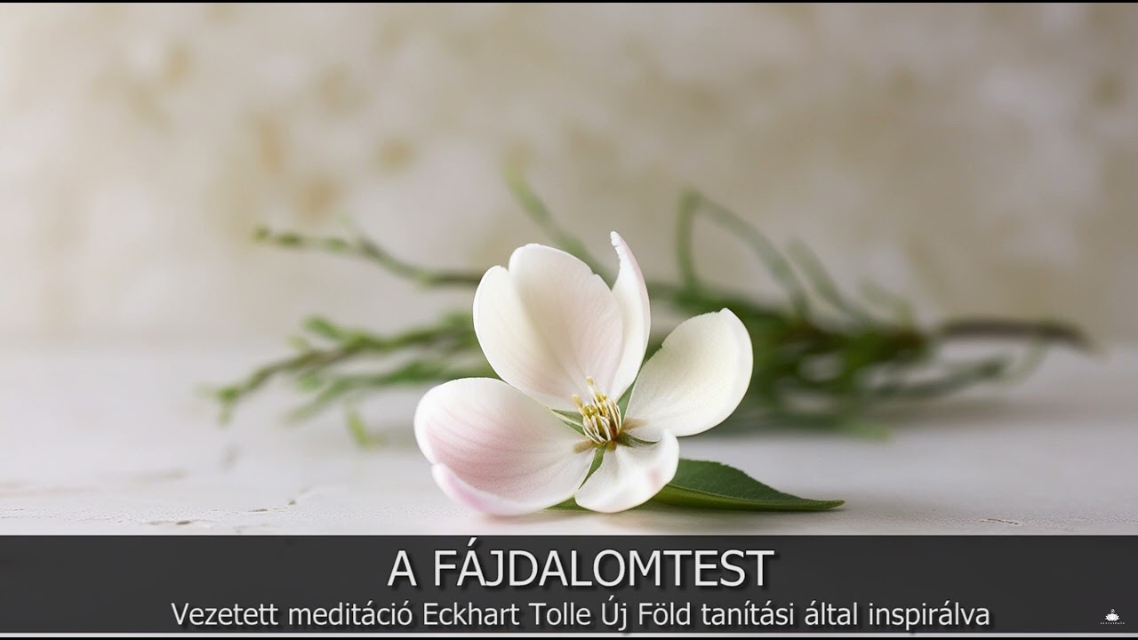 A Fájdalomtest - Vezetett meditáció Eckhart Tolle Új Föld tanításai által inspirálva
