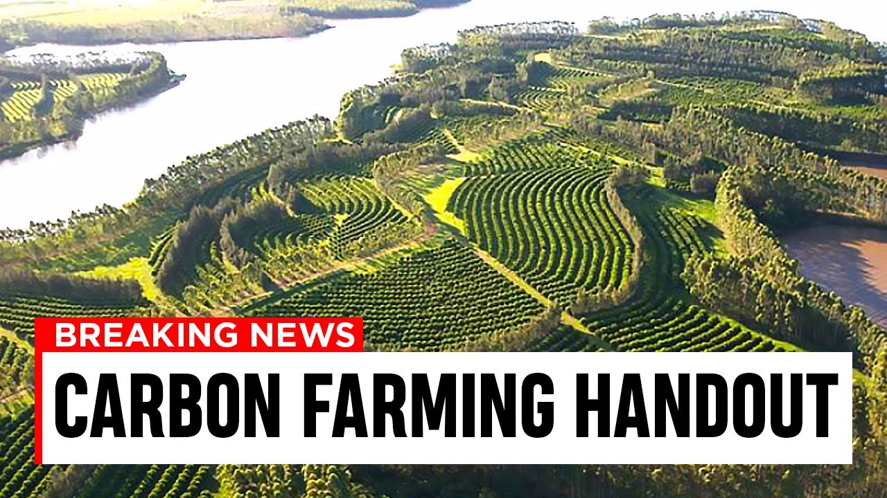 NEW Projects That Will KICKSTART Carbon Farming Projects!