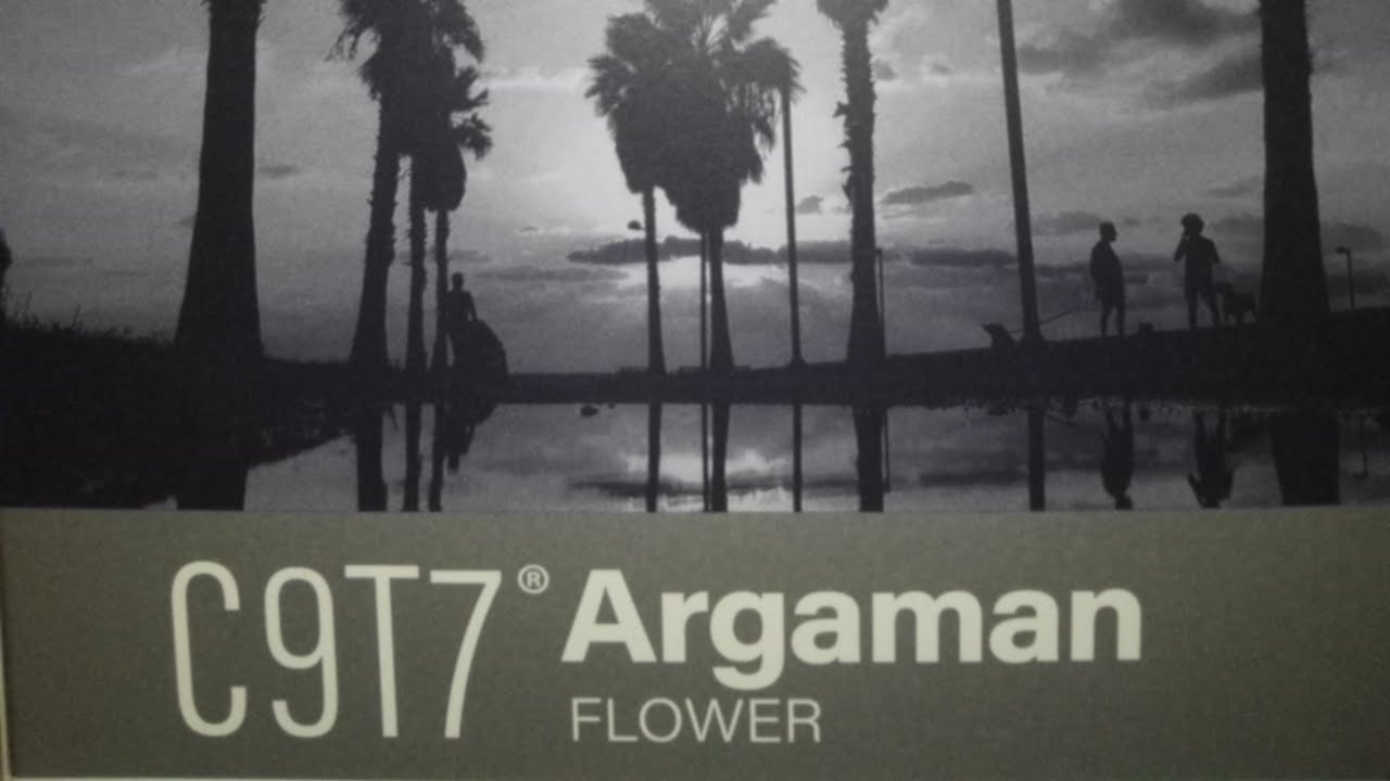 Argaman C9T7 White Widow x Critical Mass