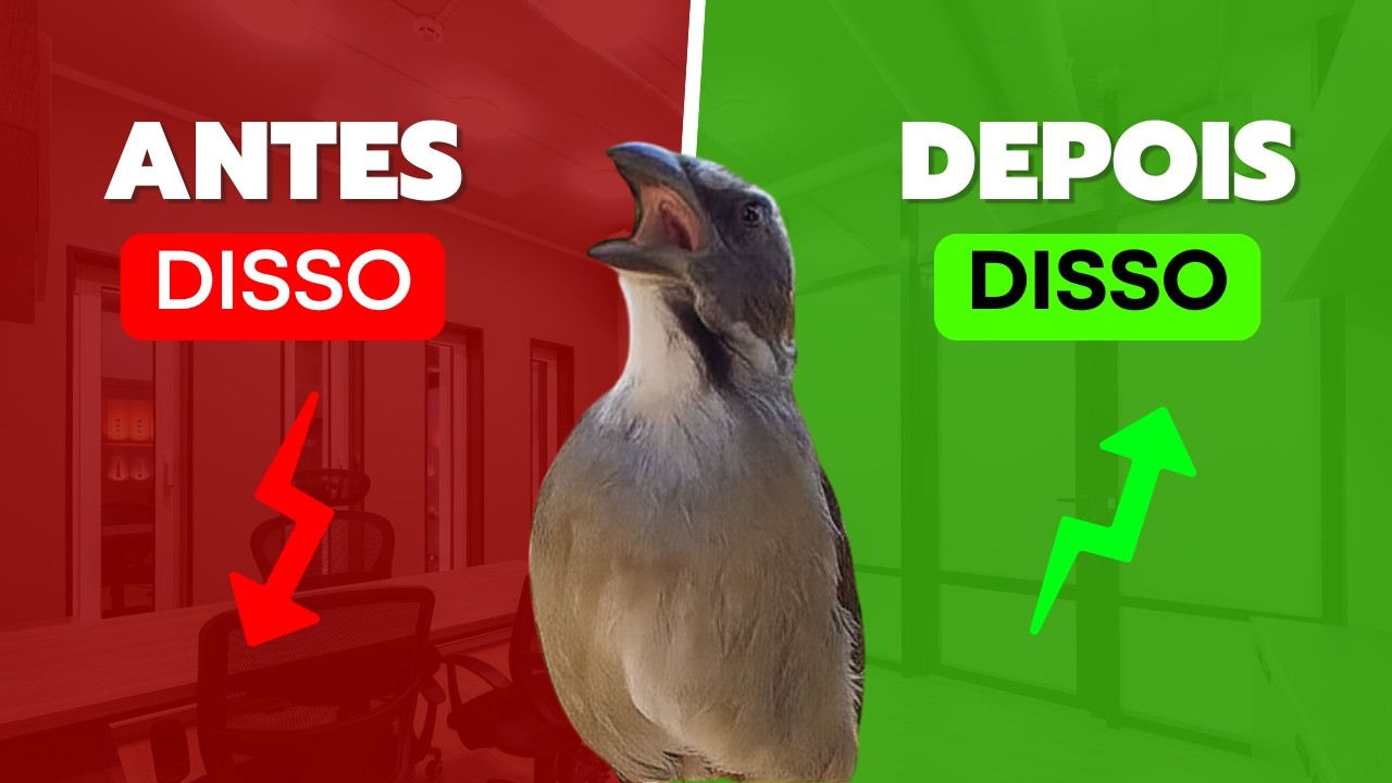 A Verdade Sobre Trinca Ferro de Torneio que Ninguém Conta