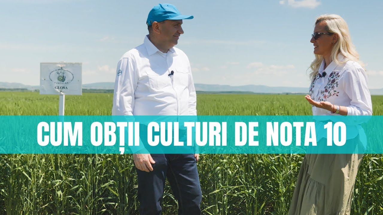 Cum obții culturi de nota 10. Să &icirc;nvățăm de la specialiști! / Rom&acirc;nia văzută din tractor