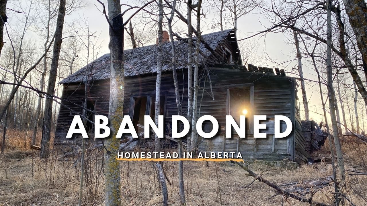 Miquelon Lake Provincial Park | Alberta Canada