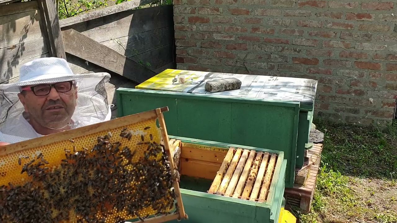 PENZIONERKE KOŠNICE KAO KLAVIR MORATE SE NAUČITI SVIRATI.10.05.2022.