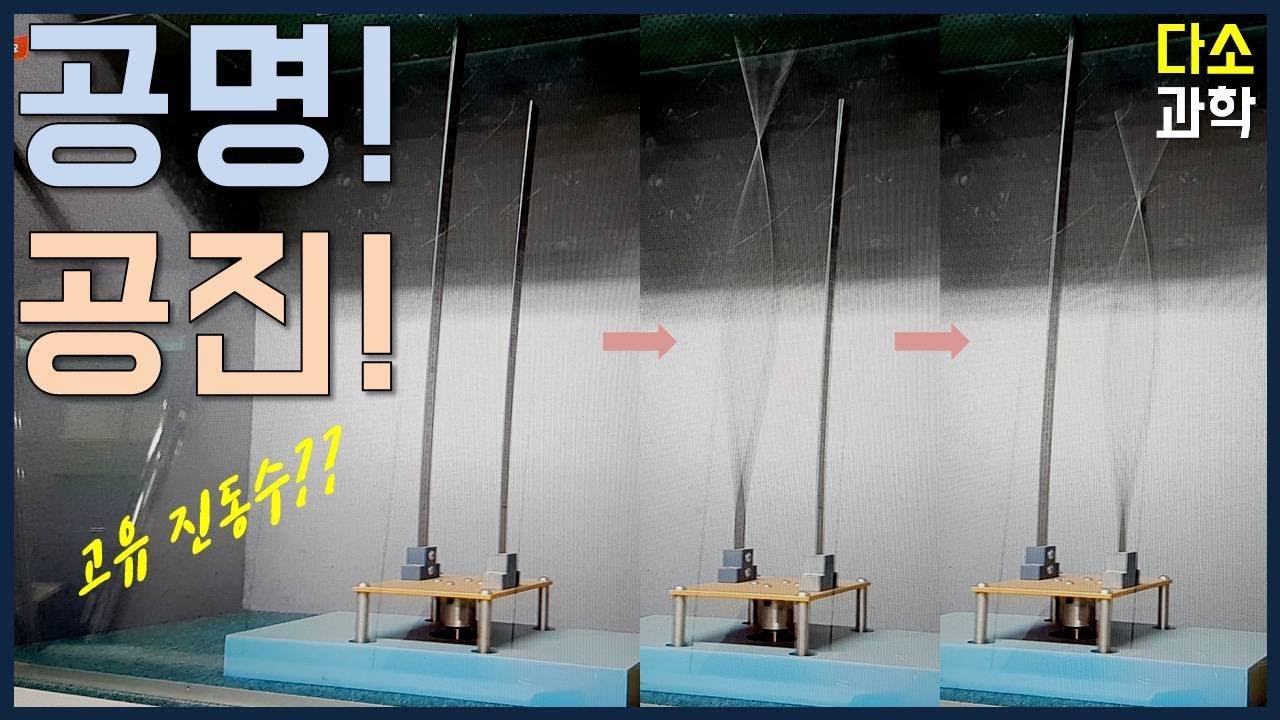 공명? 공진? 고유진동수? 직접 살펴봅시다!! [다소과학 @서울특별시교육청 과학전시관 남산분관]