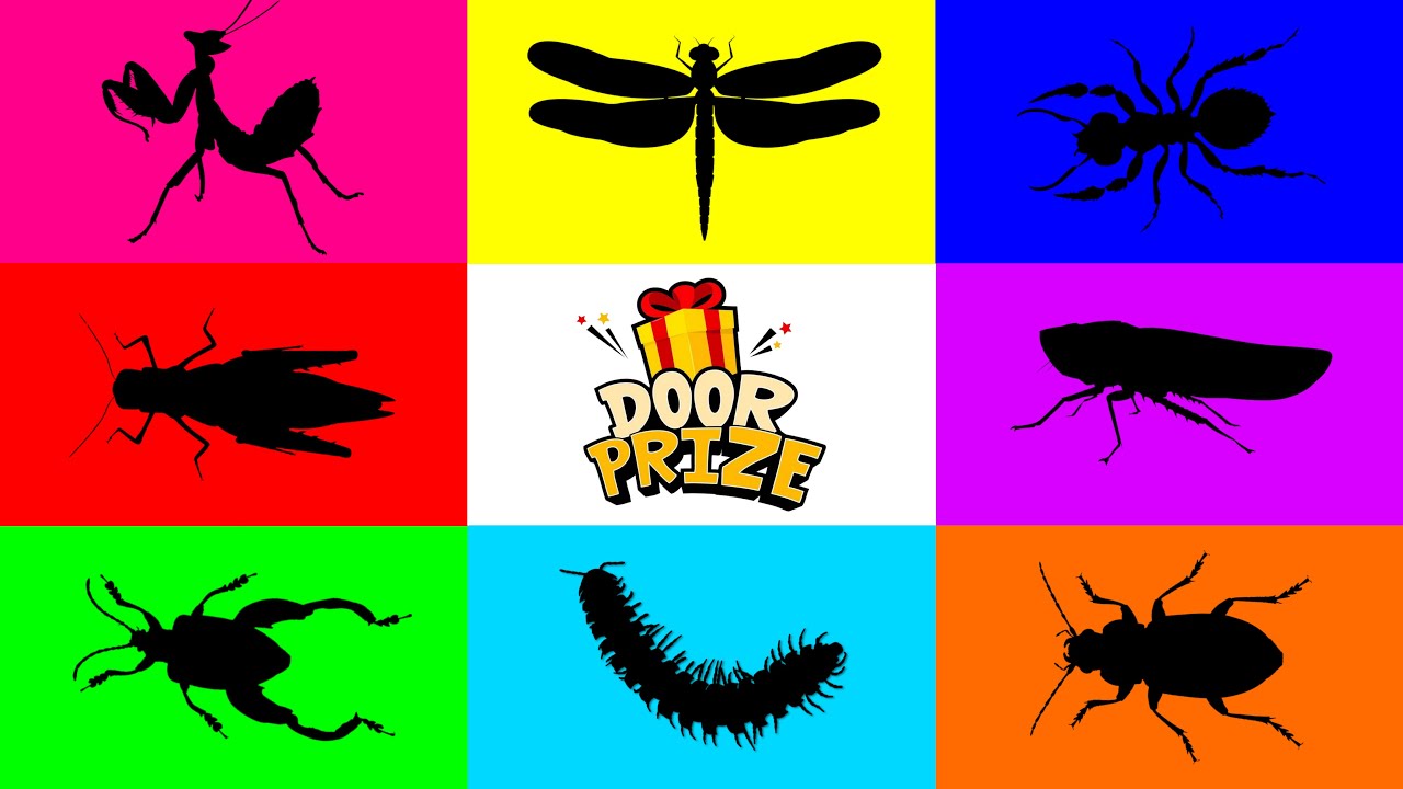 Insect: Ant, Yellow Spot Millipede, Leaf Hoper, Frog beetle, Mantis, Grasshopper, Dragonfly, Beetle