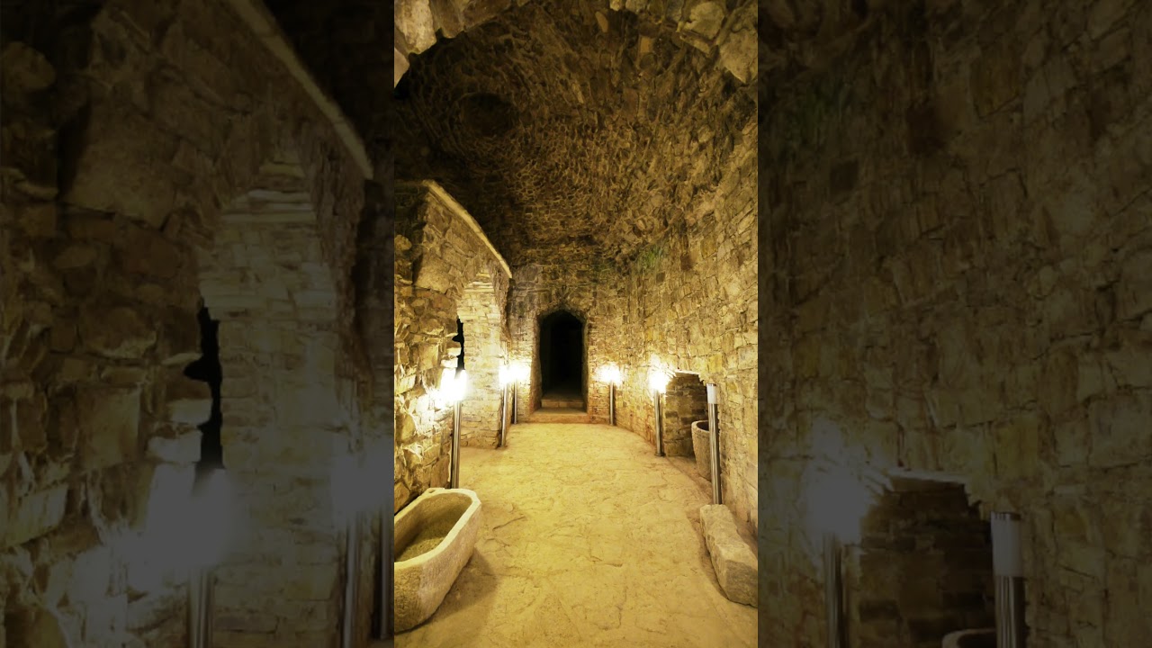 Ist die 12 Apostel Zeche in Klosterneuburg wirklich 60.000 Jahre alt? (Dr. Heinrich Kusch)