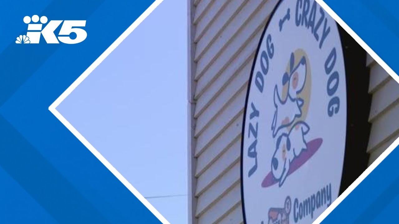Lazy Dog Crazy Dog daycare shutters after threats following animal cruelty charge