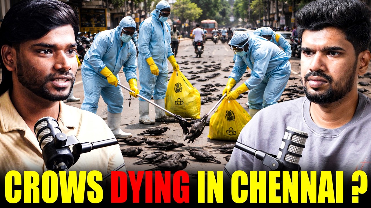 Crows Dying in Chennai: What We Know About the H5N1 Bird Flu Scare
