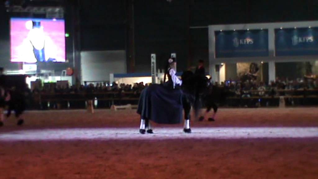 Show Stal Laarakkers