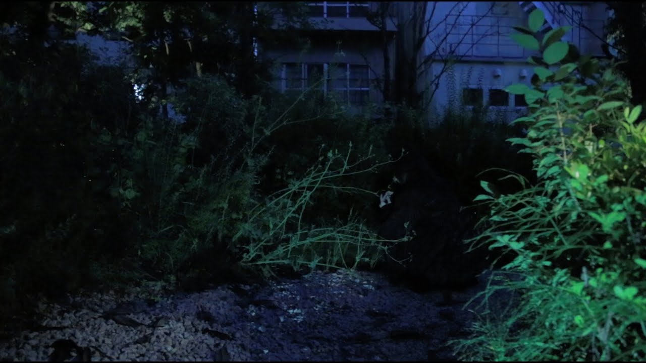 重力の虹 demoversion / lié