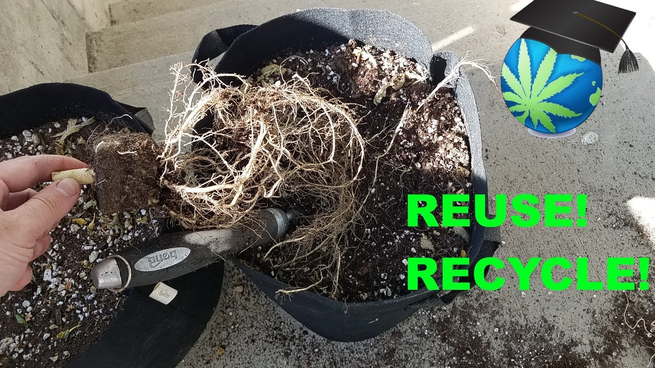 3 Ways To Get MORE USE From Cheap, Root-filled, Used Soil