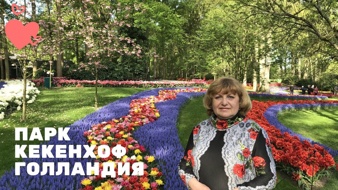 Парк тюльпанов Кекенхоф Нидерланды . Путешествую с Аккорд тур.  Keukenhof tulpenpark #Keukenhof