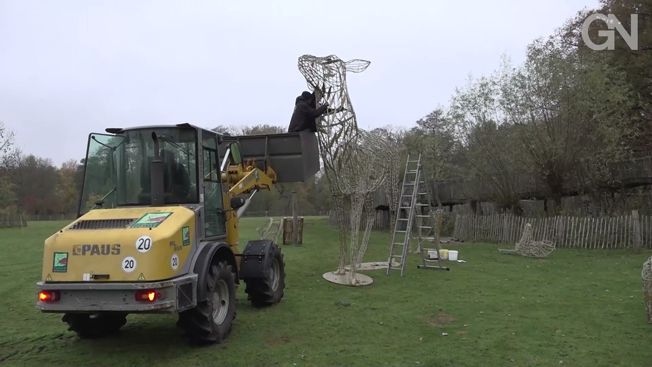 Lichter zum Weihnachtsmarkt im Tierpark Nordhorn
