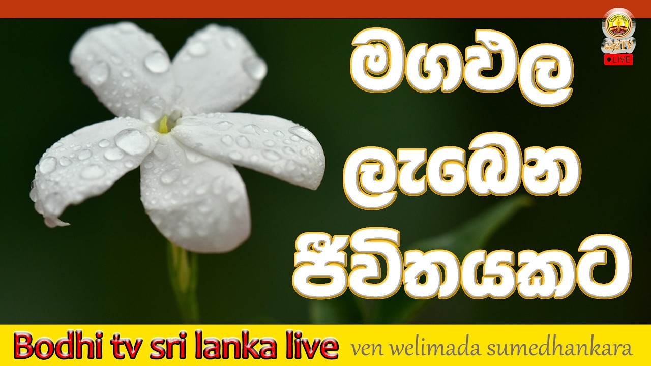 මගඵල ලබන ජීවිතයකට  - දවස පුරා සිහියෙන් ඉන්න.. අවබෝධාත්මක ධර්මදේශනා ශ්‍රවණය කරමු.