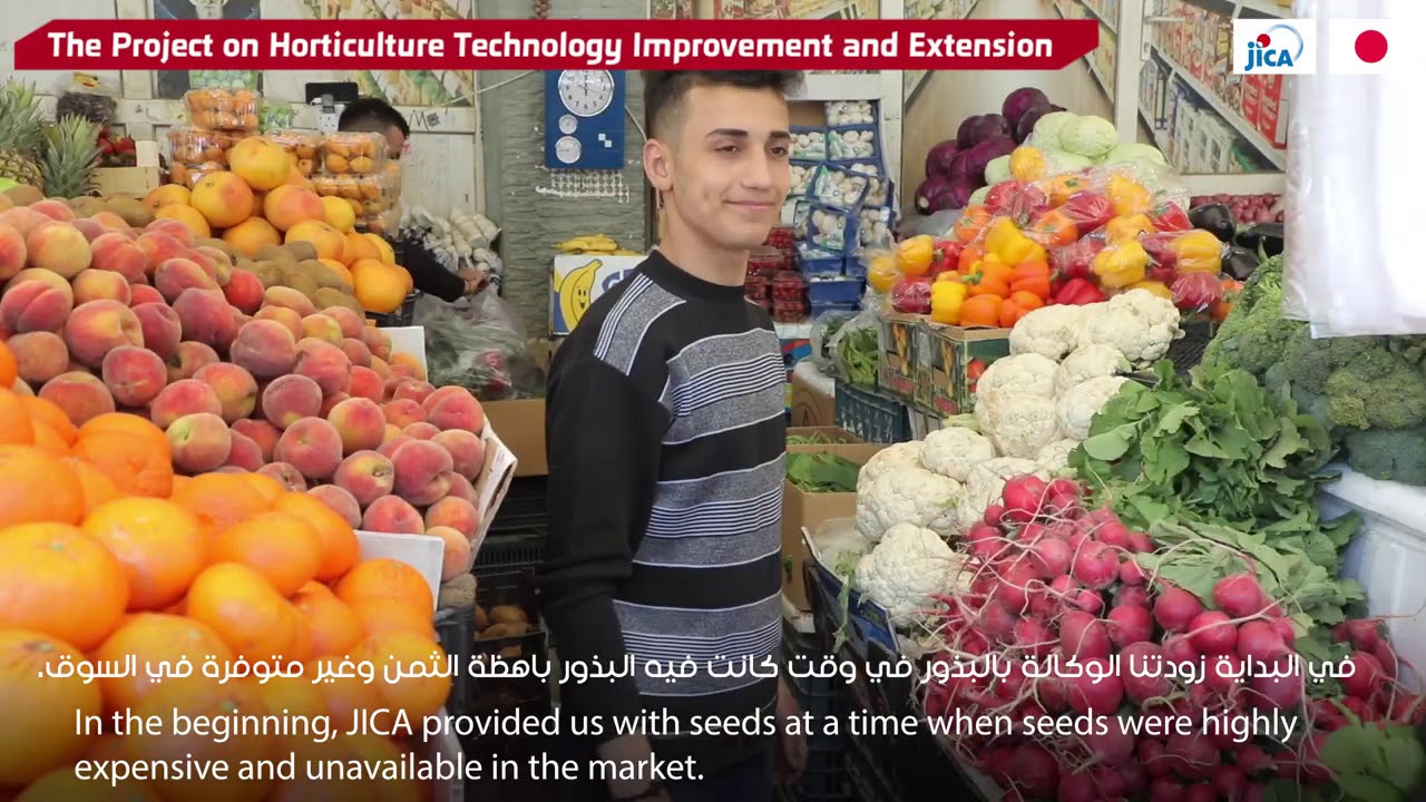Iraq Project Series: The Project on Horticulture Technology Improvement and Extension (Overview)