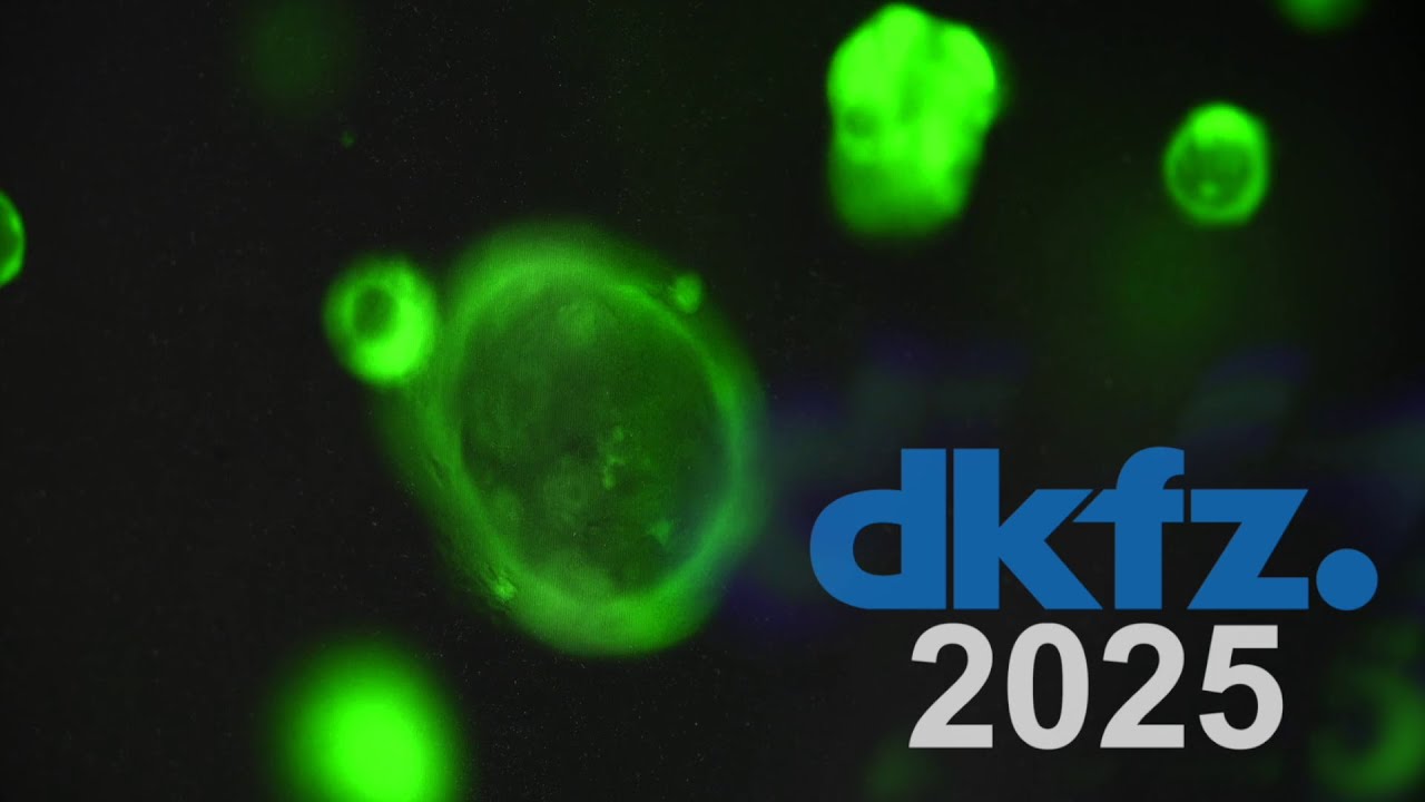 DKFZ-Jahresr&uuml;ckblick 2025