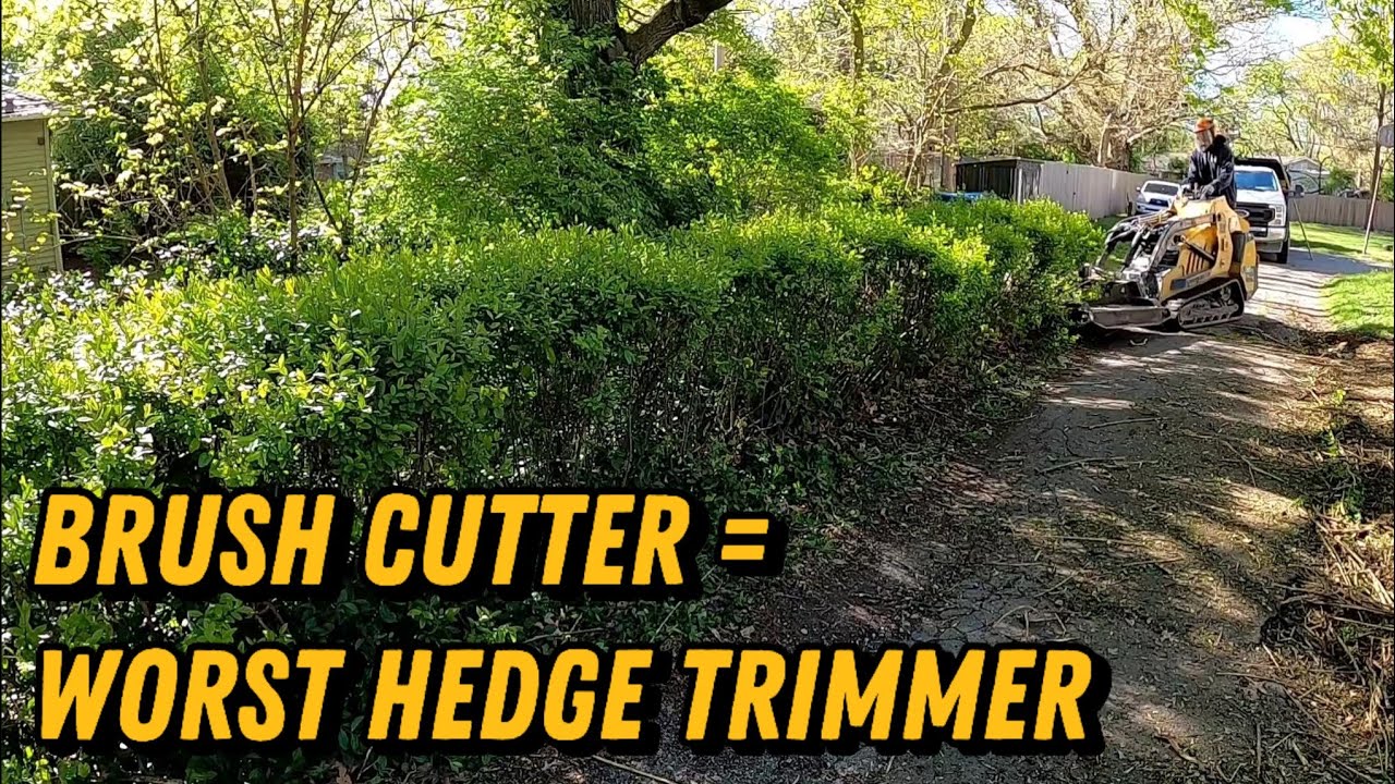 Will a Brush Cutter Trim a Hedge? 🚜 (Extreme Transformation)